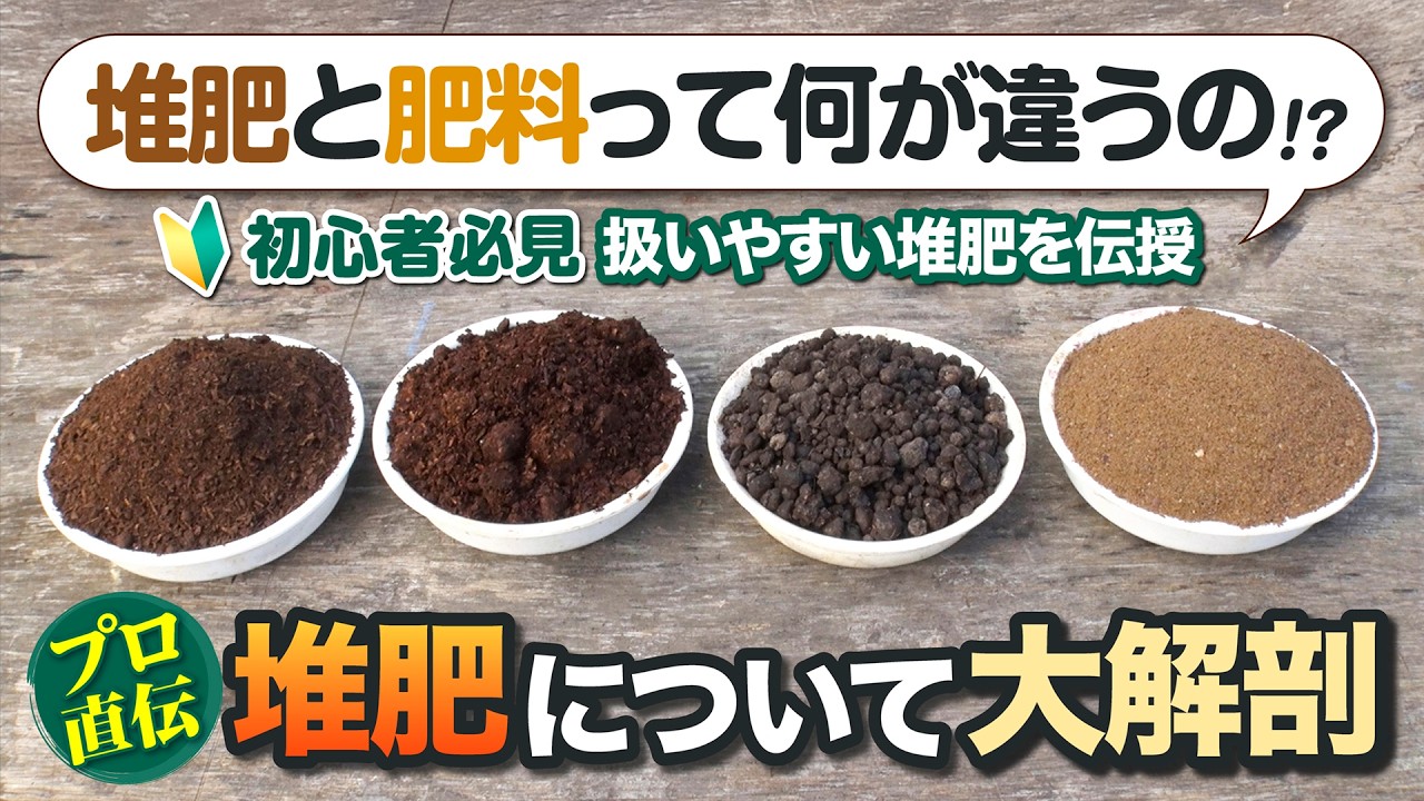 【初心者必見】堆肥と肥料って何が違う？土づくりの基本をプロが徹底解説