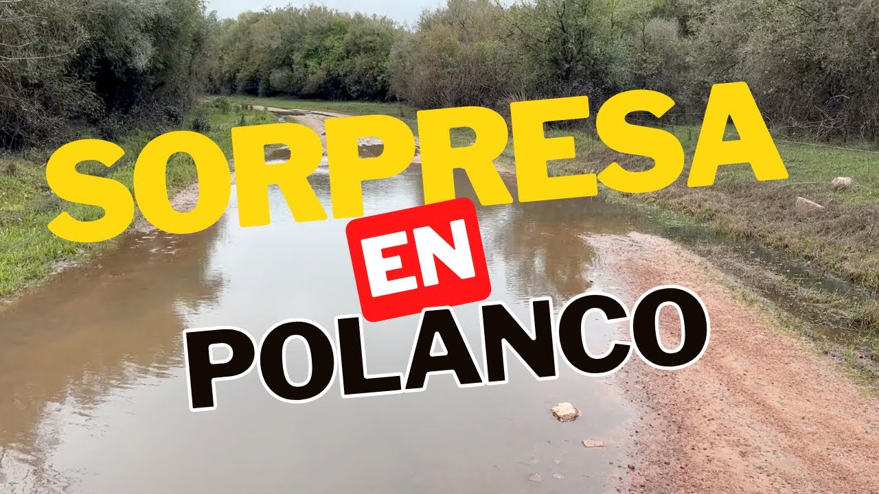 No esperábamos esto de Polanco del Yi. Camping y Viajes