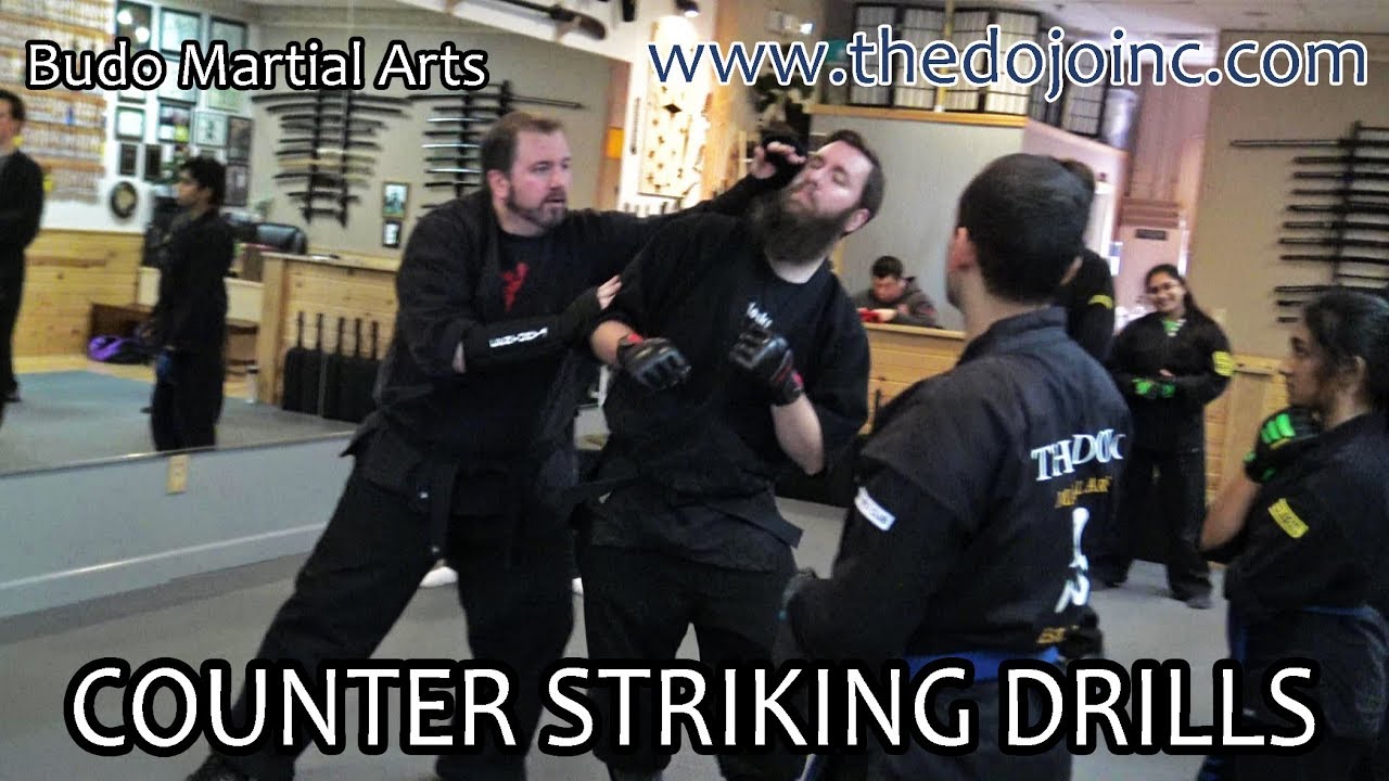 Bujutsu Blocks and Striking Drills - The Dojo Martial Arts