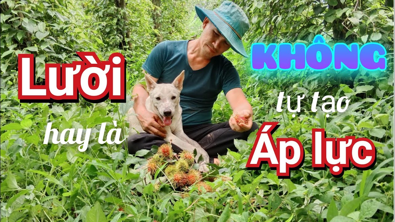 Làm Vườn Kiểu Lười - Đã Không Vất Vả Lại Có Phần Thong Dong