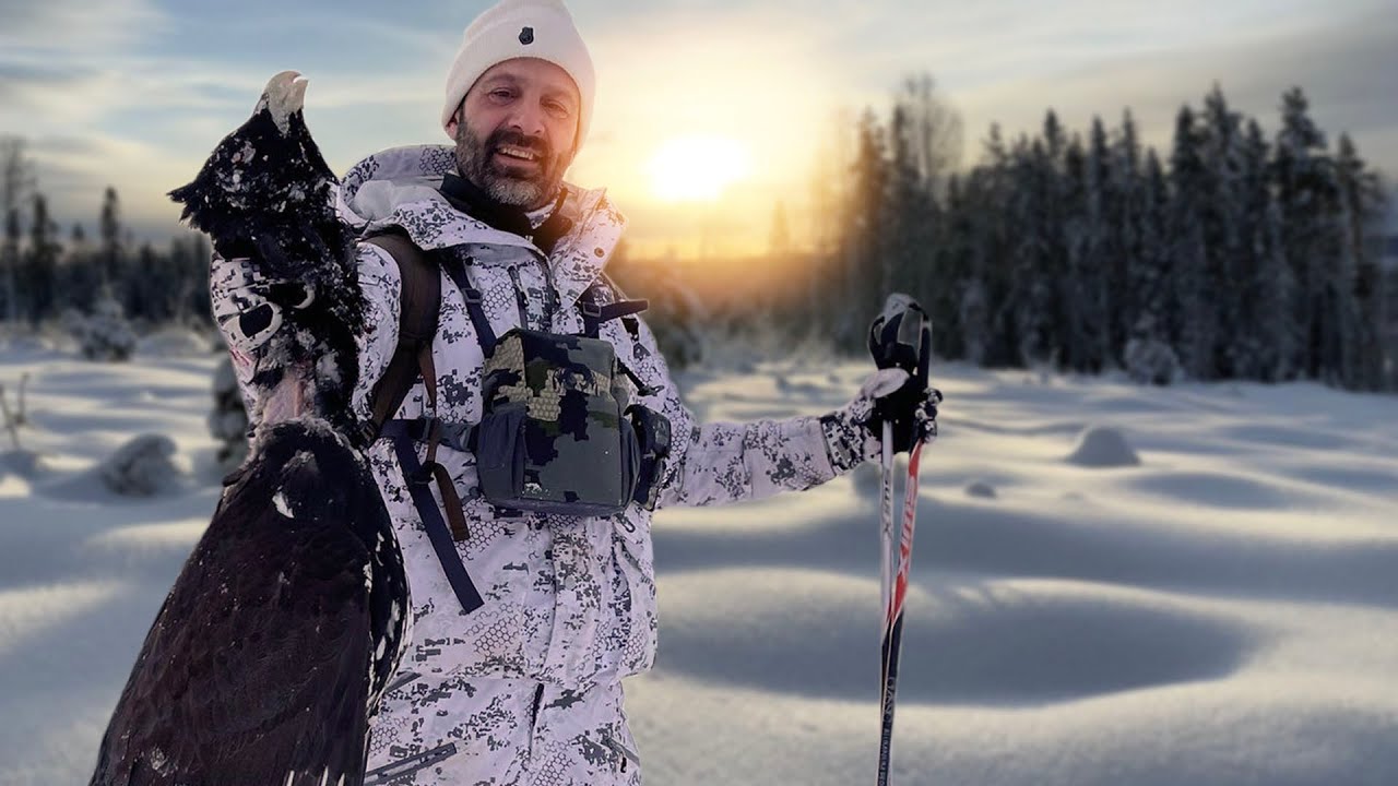 Toppfågeljakt - Revansch på gammeltuppen!