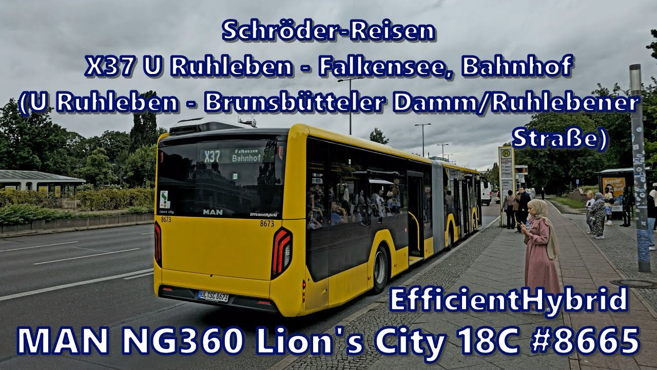 Schröder-Reisen - MAN NG360 Lion's City 18C EfficientHybrid #8665, Linie X37