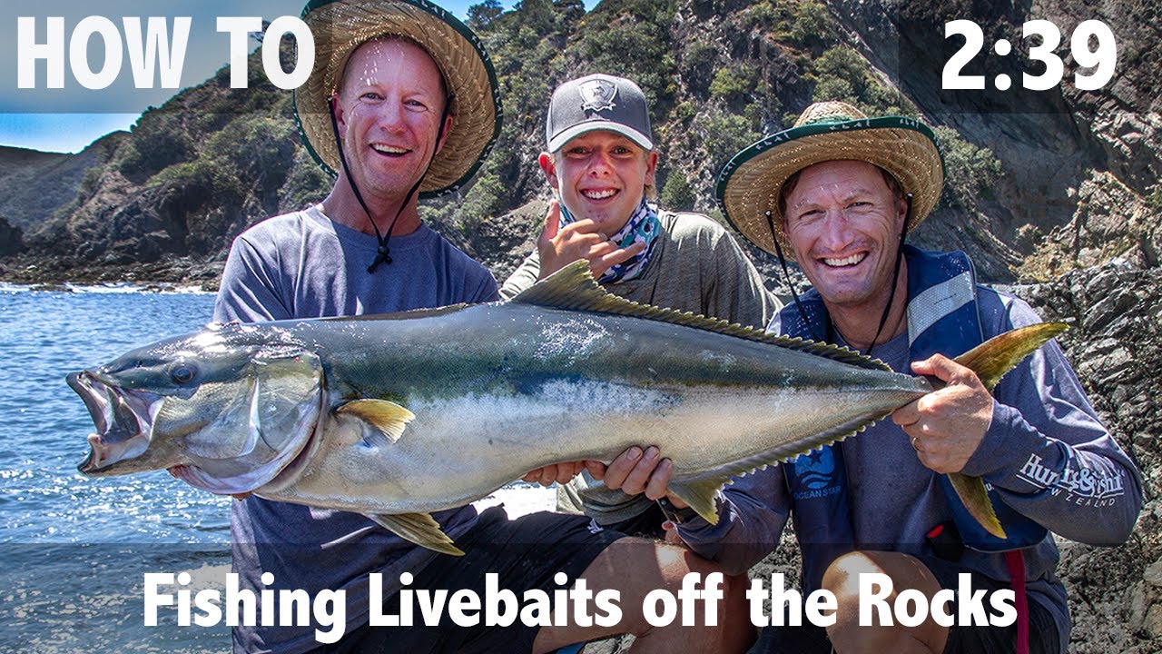 Fishing Live Baits off the Rocks