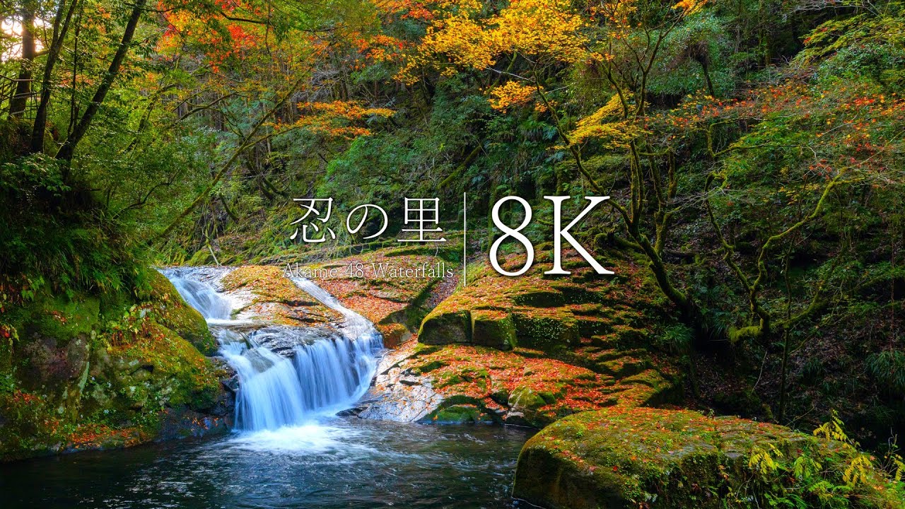 【滝の音】忍者修行の里、赤目四十八滝の秋を訪ねて - Mie , Japan in 8K