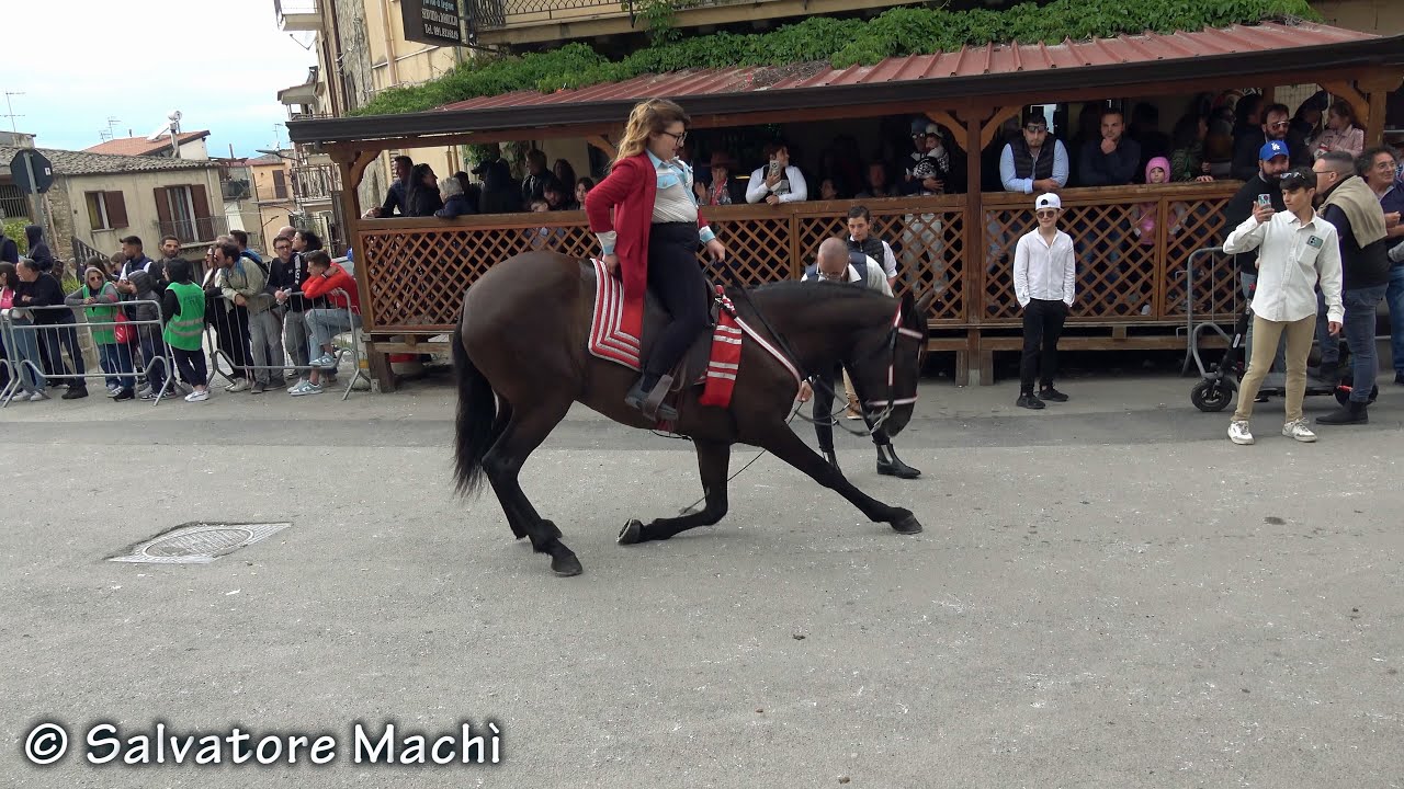 Vicari (PA) - Sfilata equestre - 1^ parte - 2025