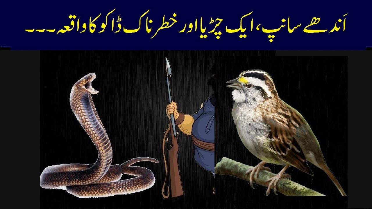 Story Of A Blind Snake, A Sparrow And A Dangerous Robber