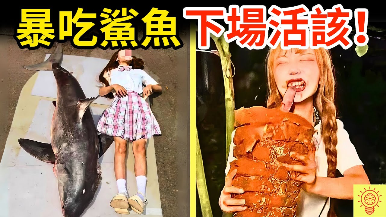 網紅吃播吃瀕危鯊魚，被網友揭穿識破，人設崩塌現場畫面曝光！下場活該！