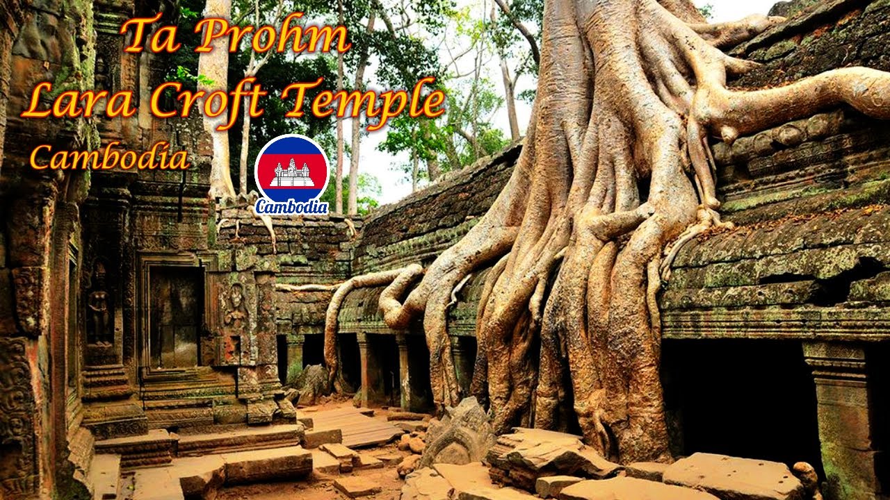 Exploring Ta Prohm &ndash; Cambodia&rsquo;s Jungle Temple from Lara Croft movie, Angkor Wat, Cambodia 2024