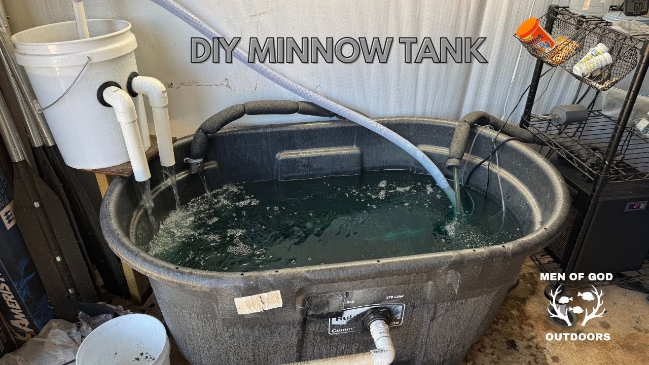 Minnow Tank