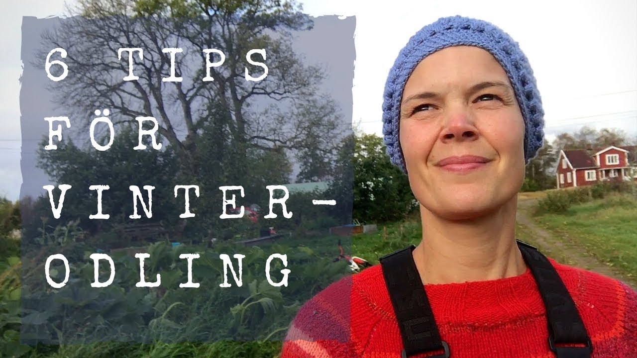 6 tips f&ouml;r att sk&ouml;ta vinterodlingen