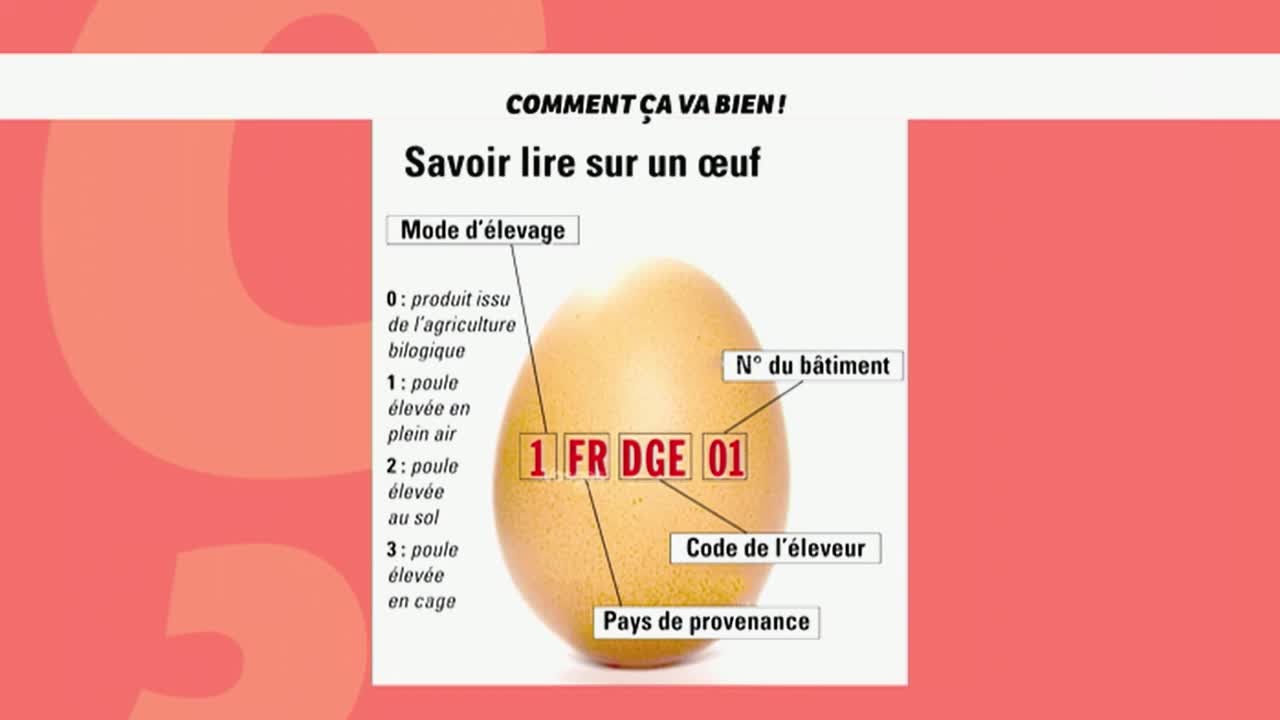 [BIEN-ETRE] Les bienfaits de l'oeuf #CCVB