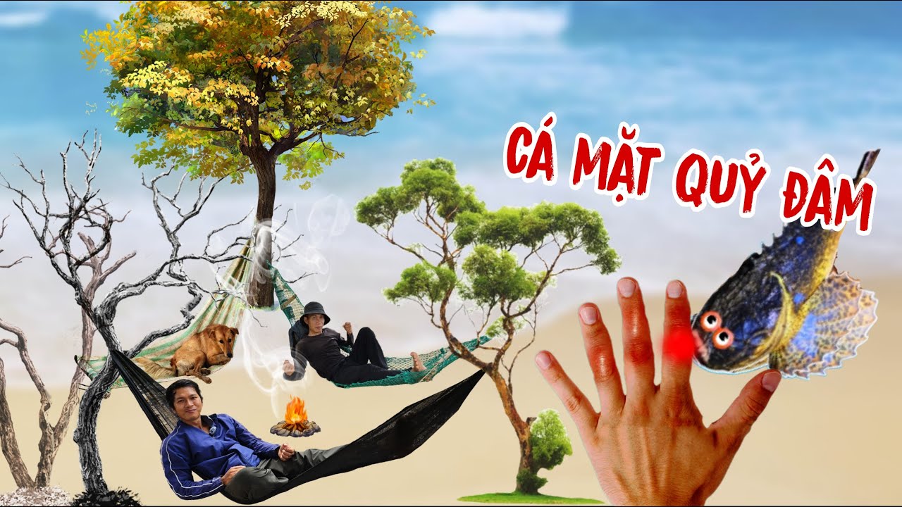Bắt gặp loài cá nguy hiểm khi đi sinh tồn rừng ngập mặn