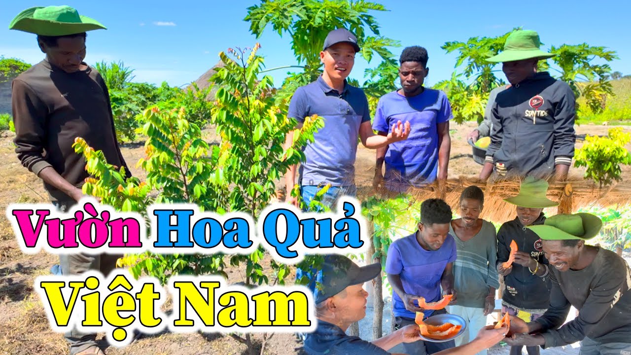 Hùng Kaka II Gặt Hái và Thưởng Thức Thành Quả Tại Nông Trại ?