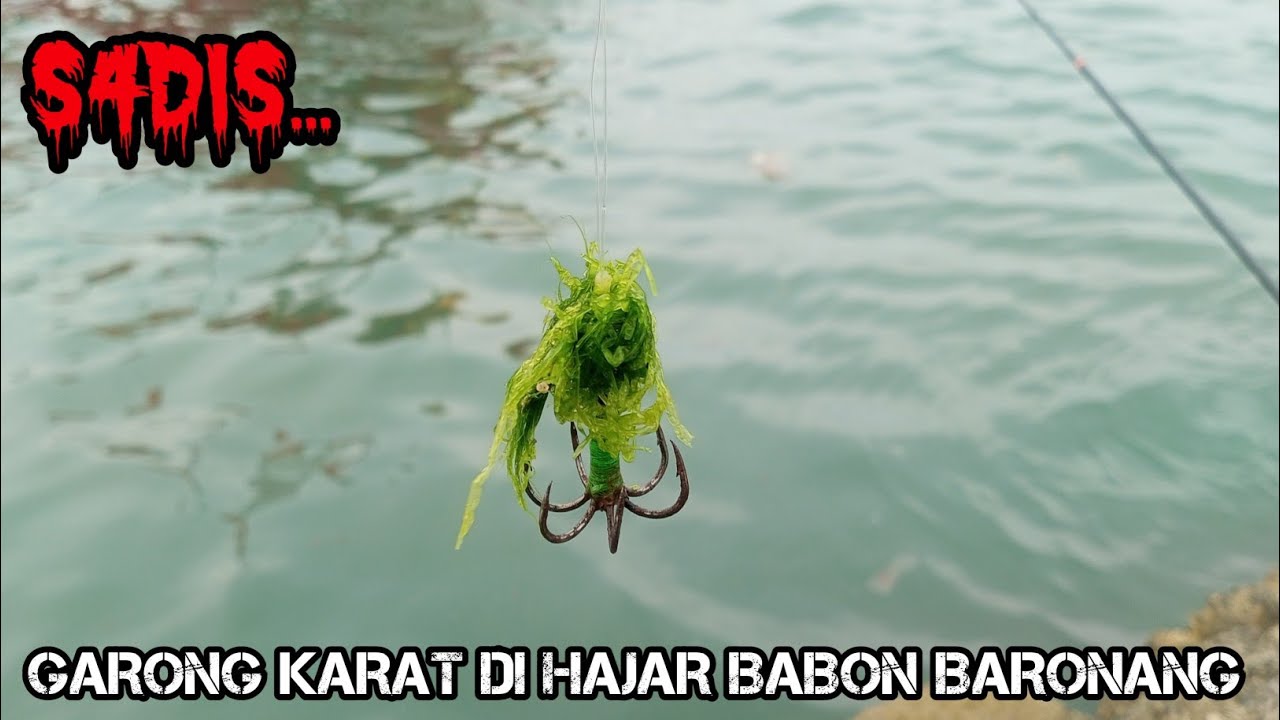 untung putus kalo tidak,tegek saya yang patah || mancing baronang
