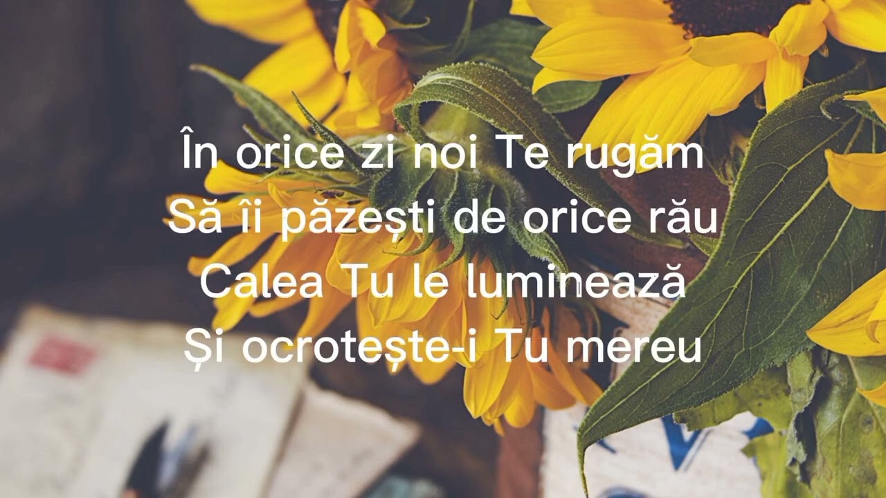 Binecuvântarea ta- karaoke creștin