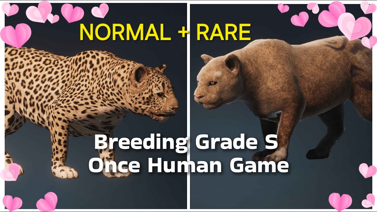 Rare color breeding Once Human