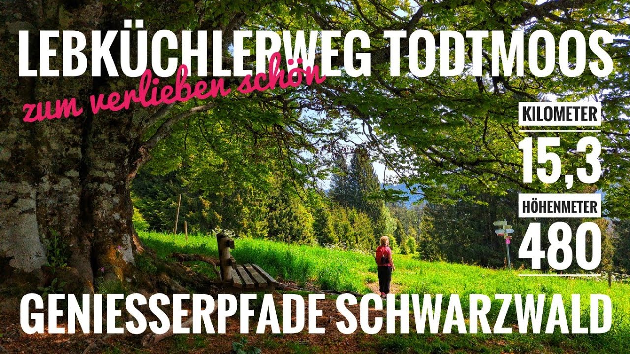 Wir wandern den  # Lebküchlerweg in Todtmoos # Schwarzwald Genießerpfade # 15,3 Km # 480 Hm