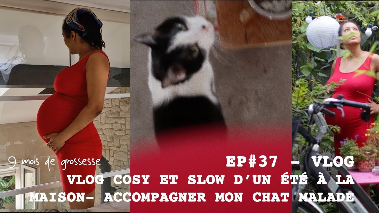 EP #37 - vlog d'un été entier à la maison, slow life, cosy chez soi ; accompagner son chat malade 🐾🤰