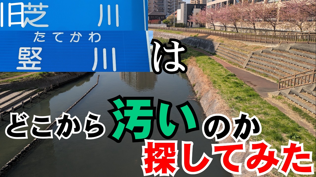 【川口】旧芝川･竪川はどこから汚いのか探してみた【二本立て】