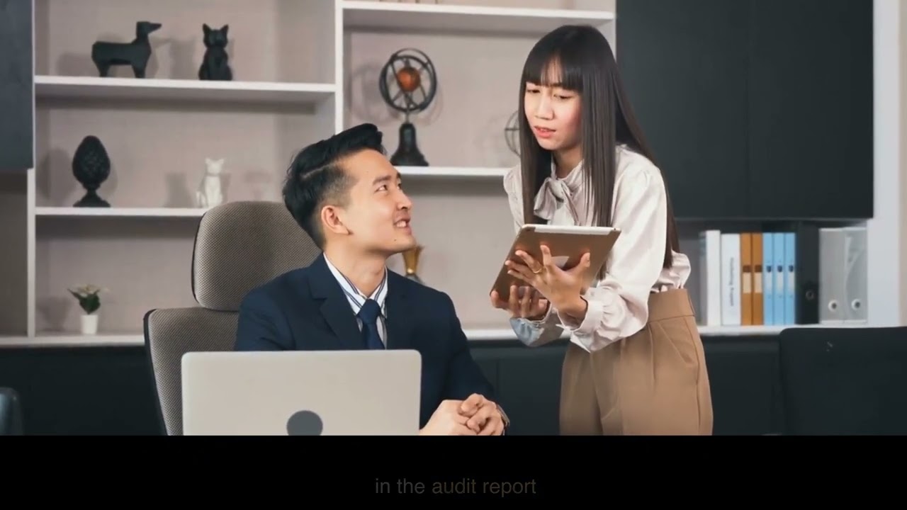 Auditing standard SA 600 P - 3