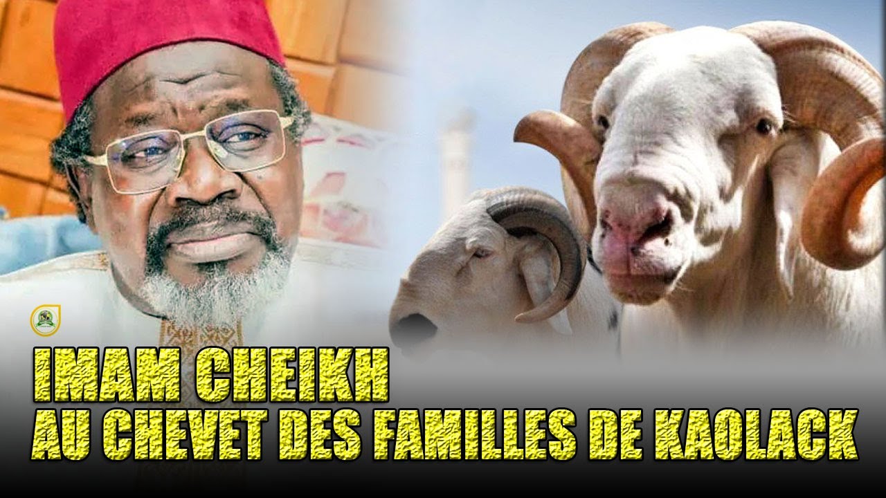 Tabaski 2023: Imam Cheikh Tidiane Cissé offre des moutons aux familles •@Faydatidianiya TV