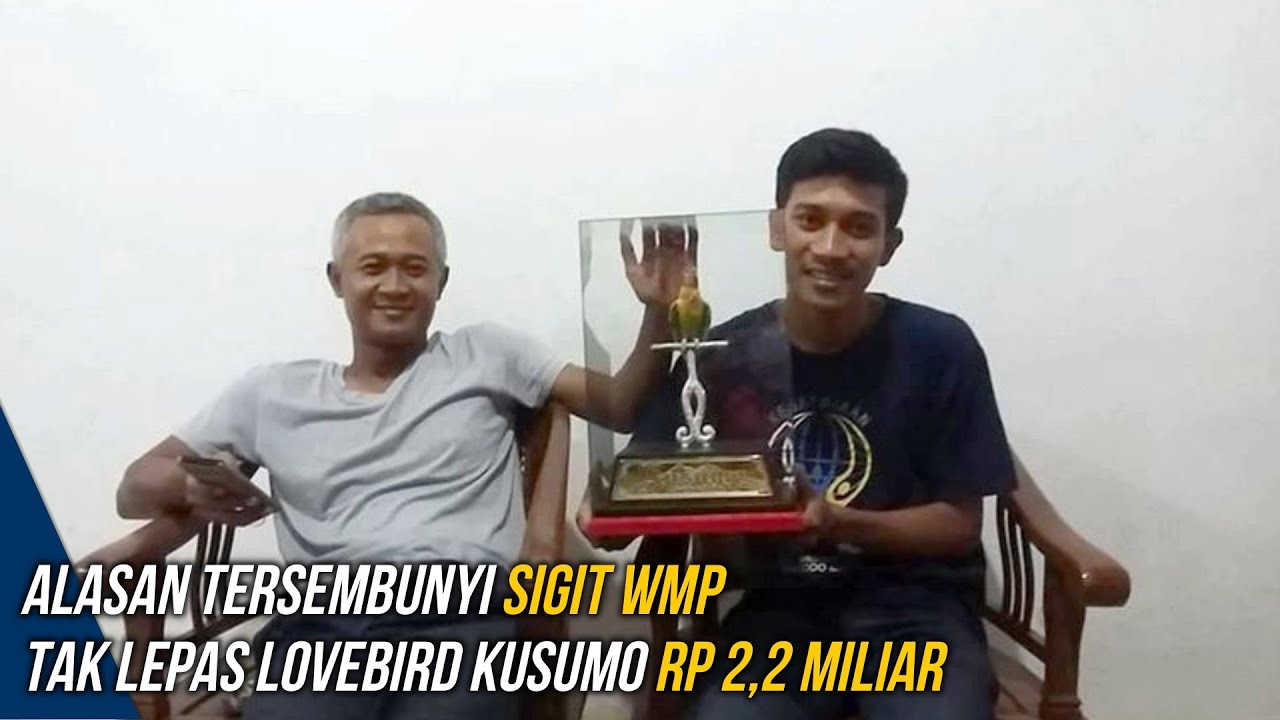 Alasan Tersembunyi Sigit WMP Tak Lepas Lovebird Kusumo Rp 2,2 Miliar