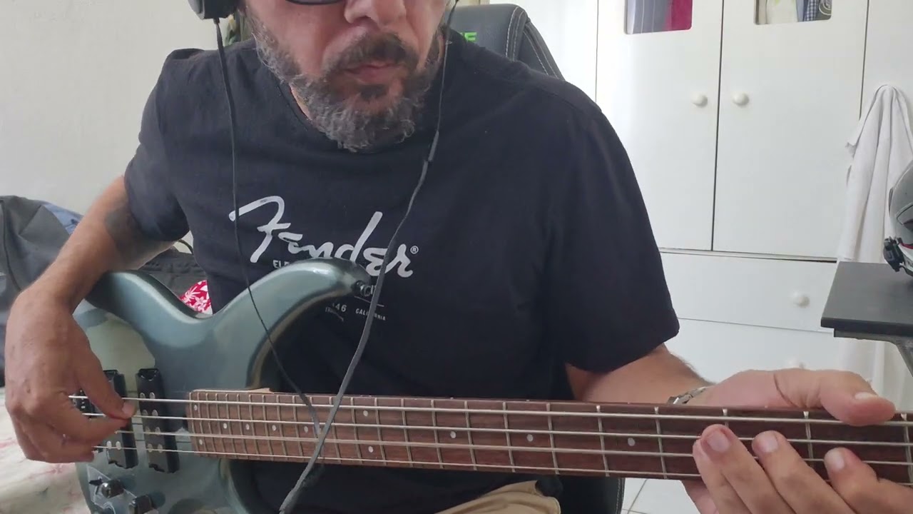 I Will Survive - Cake - Bass Cover 