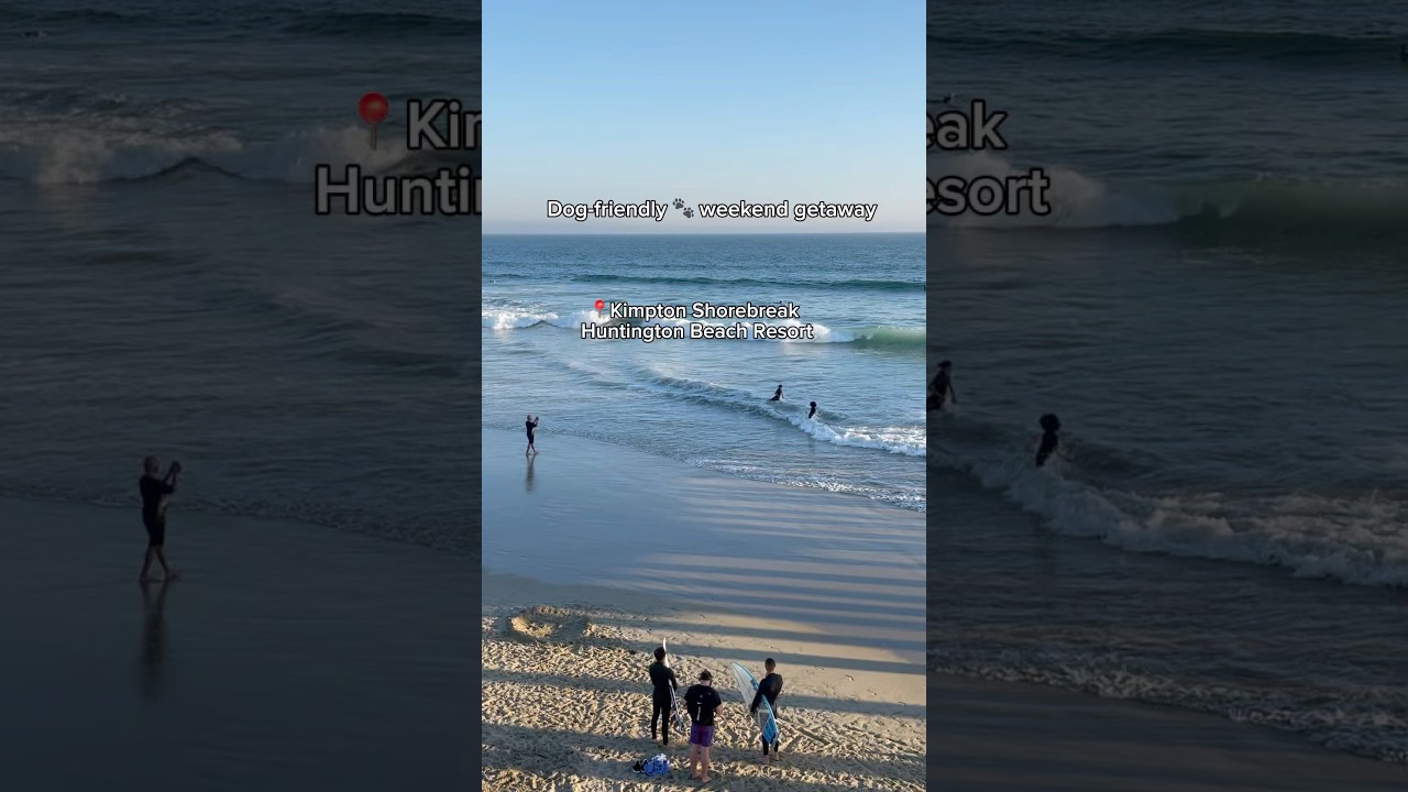 ✨Dog-friendly Kimpton Shorebreak Huntington Beach Boutique hotel for weekend getaway✨🏖️ 🏄‍♂️