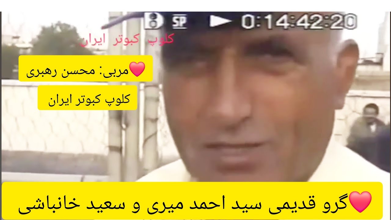 ❤️محسن رهبری در گرو قدیمی آقایان سید احمد میری و سعید خانباشی از شمیران iranian high flyers pigeon