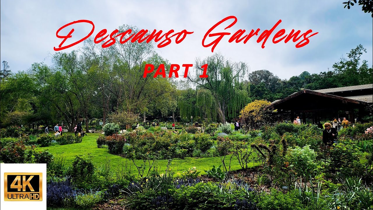 [4K] Descanso Gardens in Los Angeles, California (Part 1)