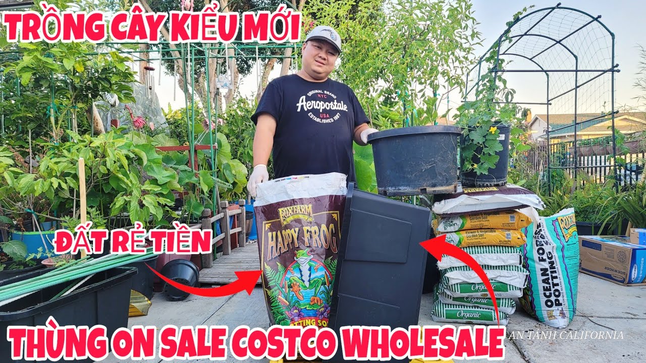 Trồng Cây Theo Cách Đục Lỗ Chậu Giữ Nước Chậu Không Dáy Giúp Cây Phát Triển Tốt Thùng  Mua Ở Costco