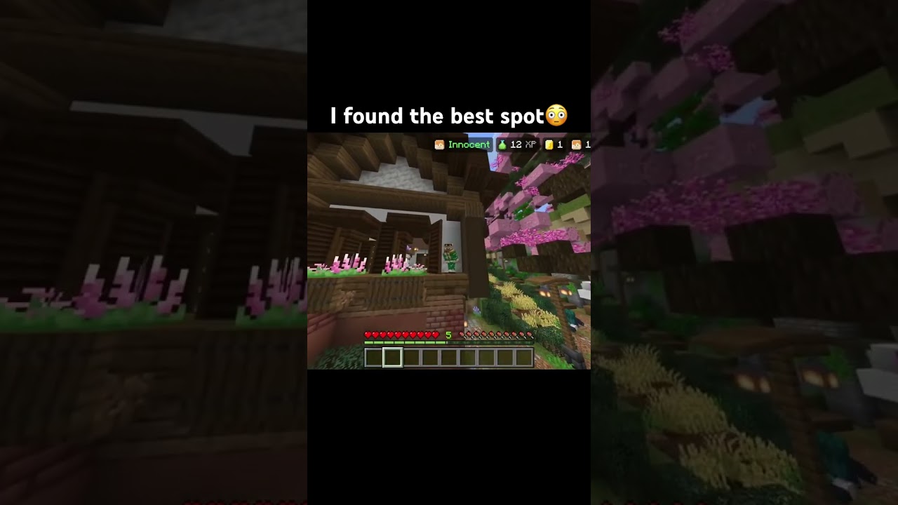 I found the best spot😳 