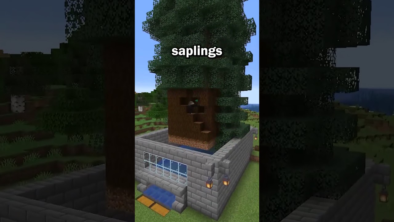 The Best Farms For Minecraft 1.21!