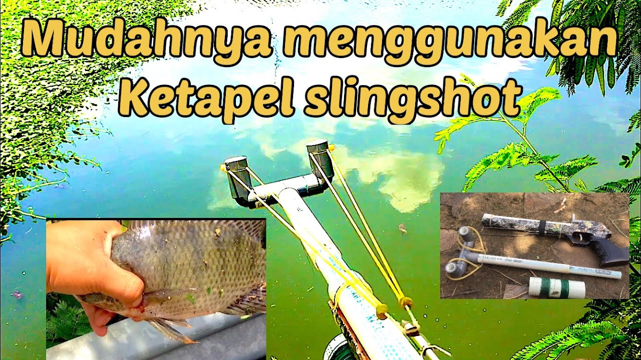 Cara menggunakan ketapel ikan slingshot