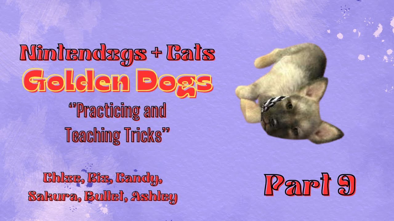 Practicing and Teaching Tricks | Golden Dogs  | Nintendogs + Cats | Episode #9