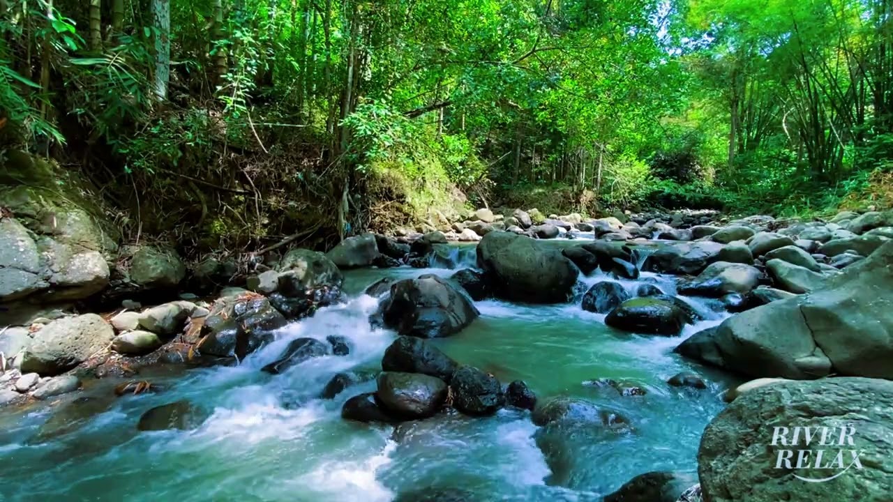 Need Sleep Therapy? 🛌 | River Sounds – Calming Flow to Fall Asleep Gently and Deeply