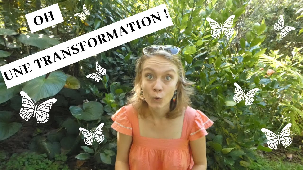 Écrire un roman : créer une transformation de personnage avec l'Anatomie du scénario
