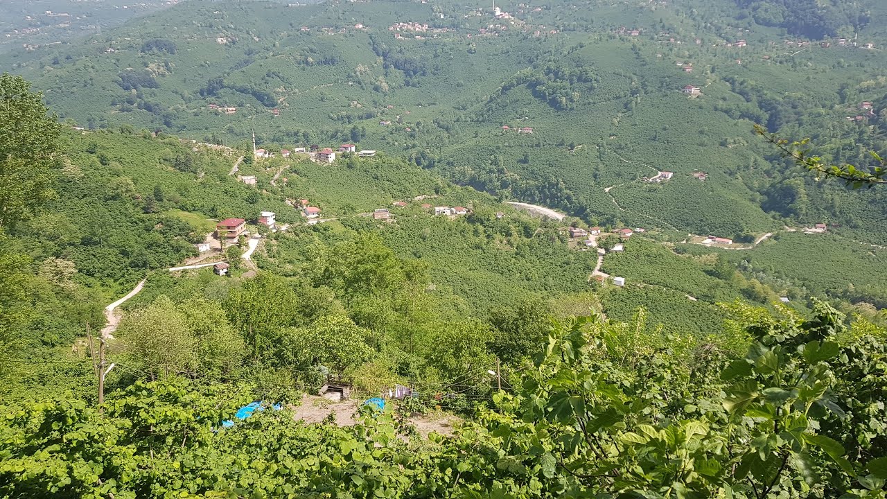 GÜZELYALI MAHALLESİ