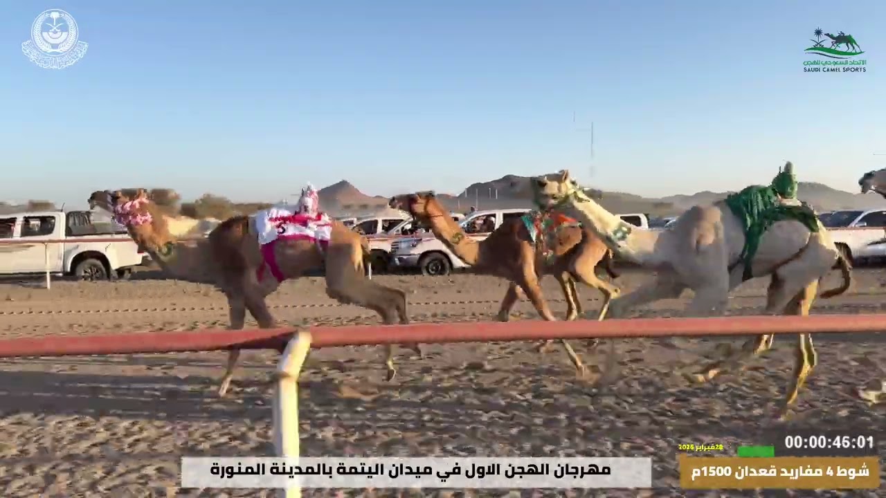 مهرجان ميدان اليتمه لسباق الهجن الاول  الشوط 4 مفاريد بكار  من 1500م مغادر لـ ناصر احمد الهمامي