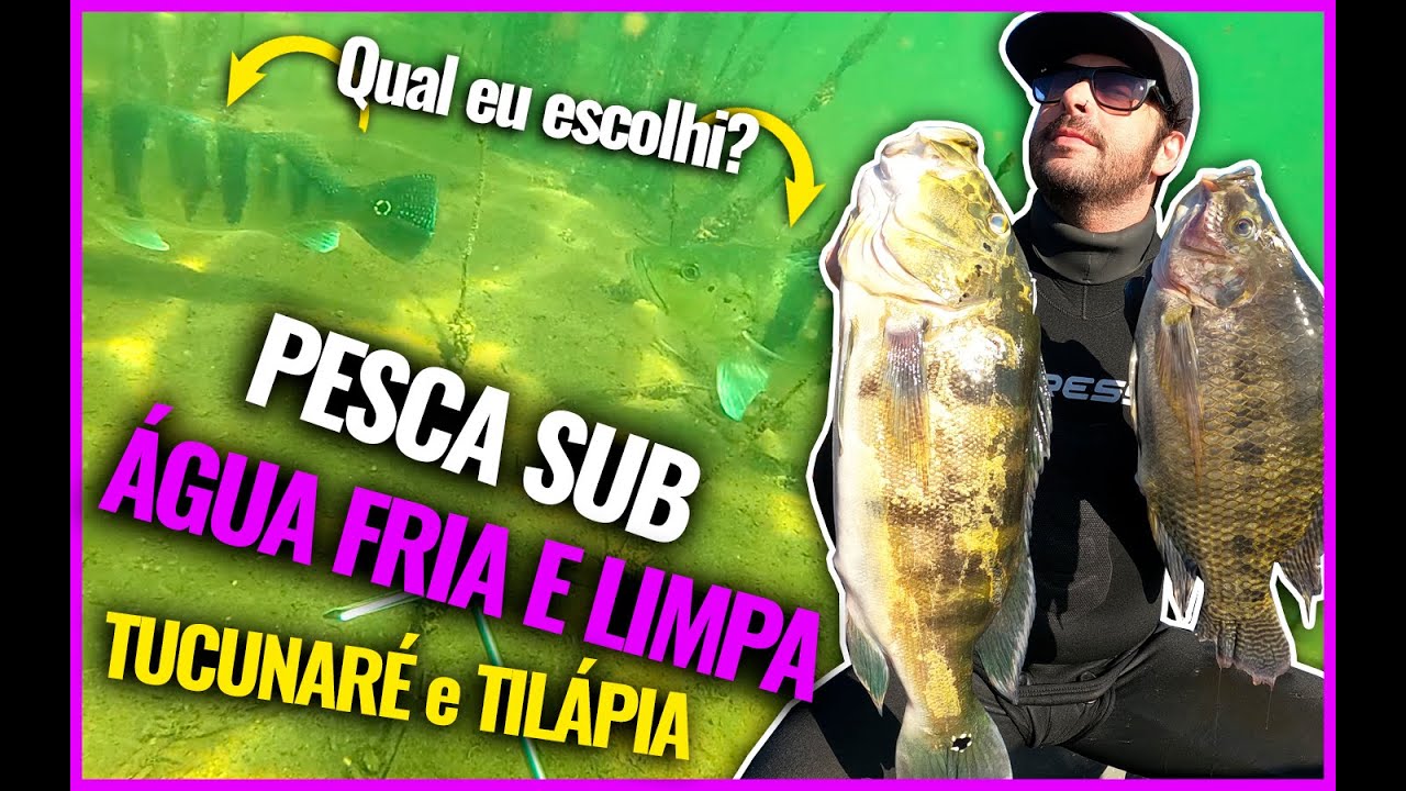 Os Tucunar&eacute;s apareceram do nada e... Agua fria e peixes na faixa dos... olha esse tempo de apn&eacute;ia