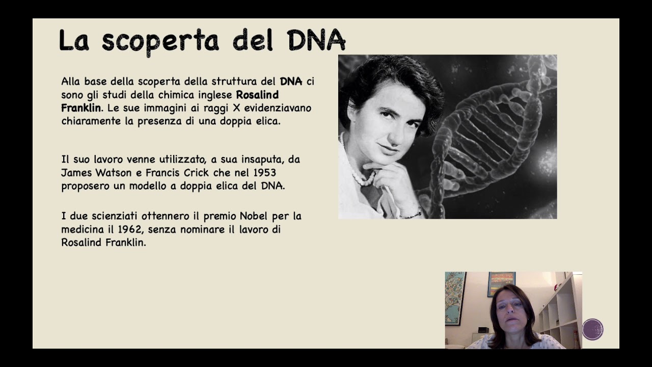 Il DNA_parte prima: struttura e replicazione