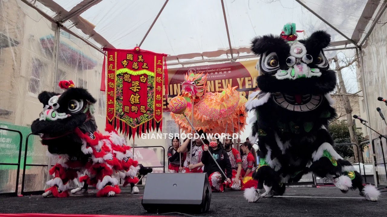 2024 Chinese New Year - Leung's White Crane New Lions and Dragon Dance Opening Performance