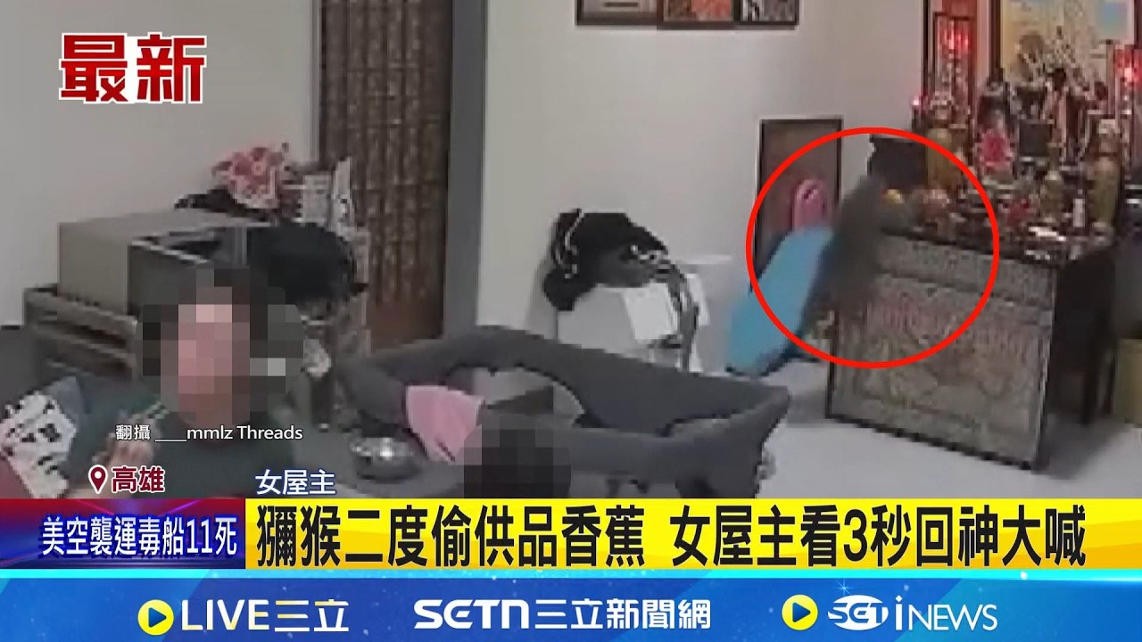 獼猴二度偷供品香蕉 女屋主看3秒回神大喊｜記者 朱怡蓉 黃智忠｜新聞一把抓20260218｜三立新聞台