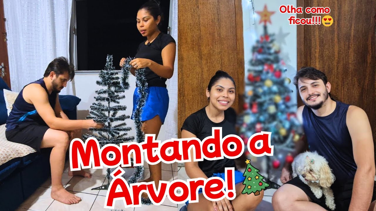 Montando Nossa Árvore de Natal + Diquinhas ✨🎄