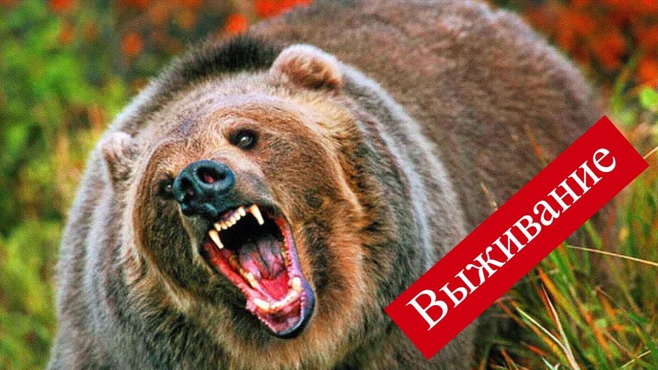 Выживание в Сибирской тайге 1 часть