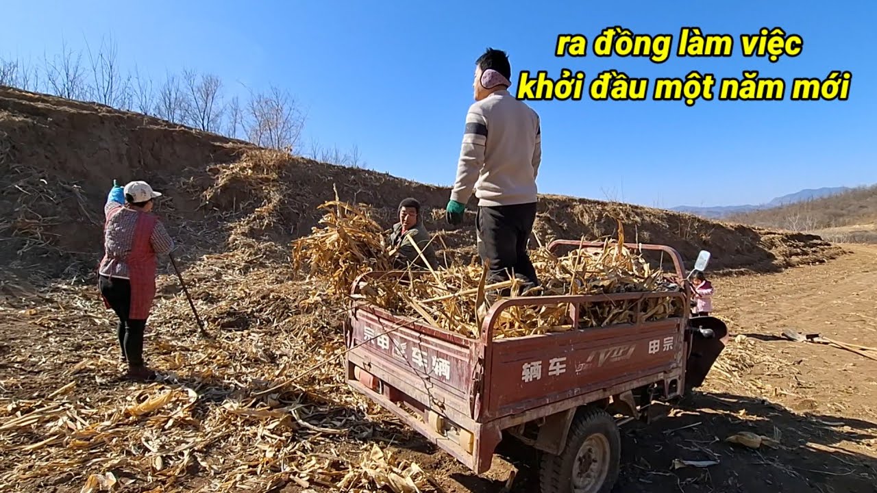 712.Bữa Cơm với món tôm đất xào hành tây thơm ngon Lần thứ 2 Nhi được ăn. 
