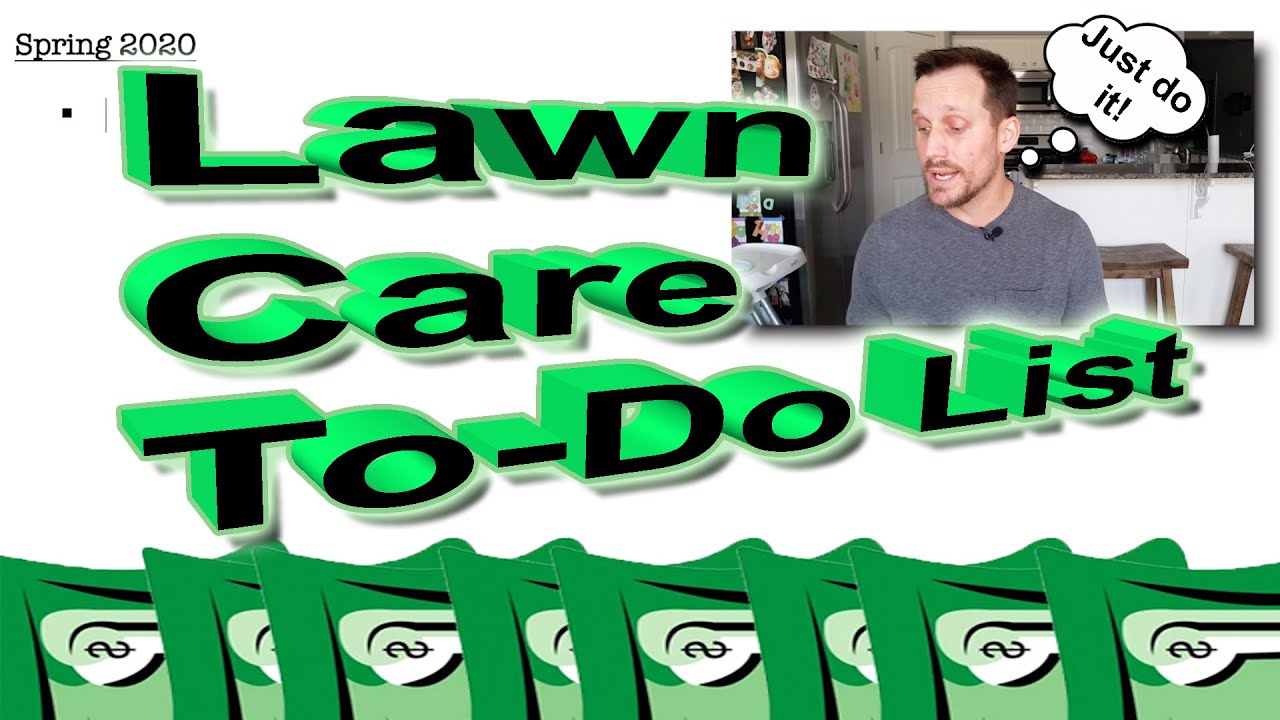 DIY Lawn Care Tips