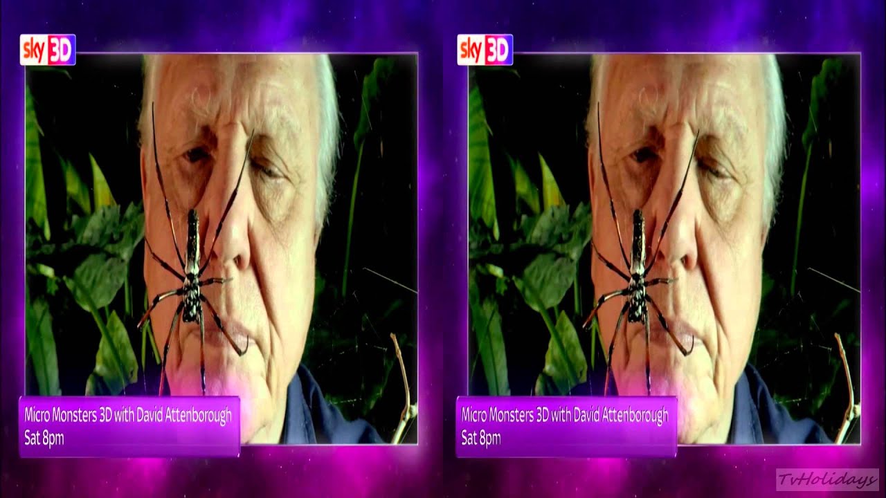 Sky 3D UK Continuity 06-07-13 hd1080
