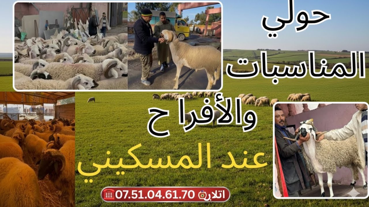 🔥حولي العيد والأفراح بأثمنة مناسبة 💰 جودة مضمونة قرب 🔥☎️07.51.04.61.70☎️الدارالبيضاء الهراويين 