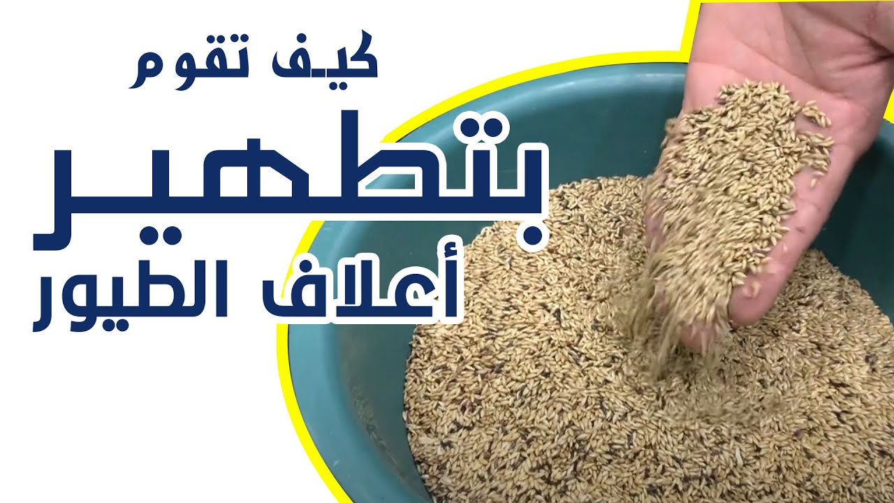 كيفية تطهير اعلاف طيور الزينة